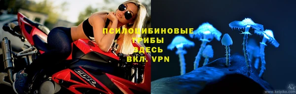 эйфоретик Михайловск