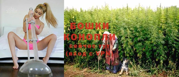 эйфоретик Михайловск