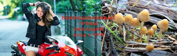 бутират Алапаевск