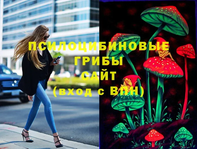 купить  сайты  KRAKEN ТОР  Галлюциногенные грибы Psilocybe  Полярные Зори 