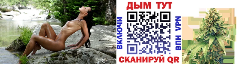цены   Полярные Зори  OMG ссылка  Марихуана план 